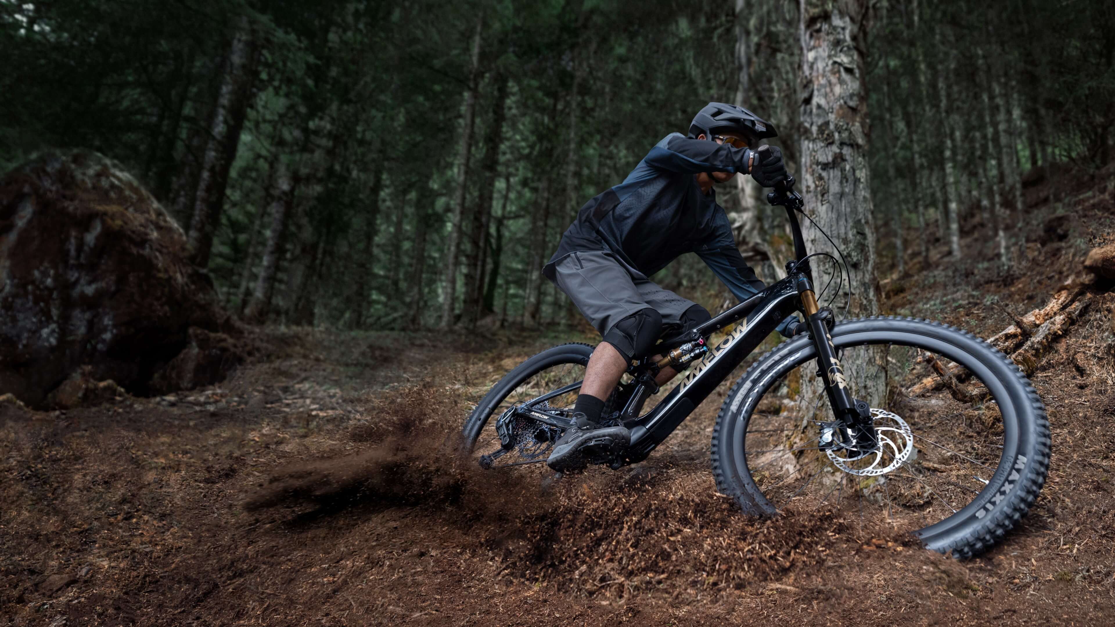 Amflow elektrische mountainbike in het landschap